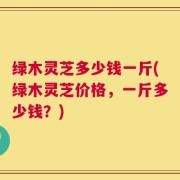 绿木灵芝多少钱一斤(绿木灵芝价格，一斤多少钱？)