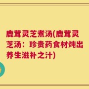 鹿茸灵芝煮汤(鹿茸灵芝汤：珍贵药食材炖出养生滋补之汁)