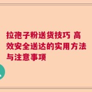 拉孢子粉送货技巧 高效安全送达的实用方法与注意事项