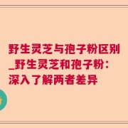 野生灵芝与孢子粉区别_野生灵芝和孢子粉:深入了解两者差异