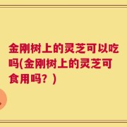 金刚树上的灵芝可以吃吗(金刚树上的灵芝可食用吗？)