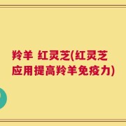 羚羊 红灵芝(红灵芝应用提高羚羊免疫力)