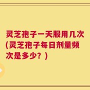 灵芝孢子一天服用几次(灵芝孢子每日剂量频次是多少？)