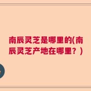 南辰灵芝是哪里的(南辰灵芝产地在哪里？)