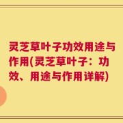 灵芝草叶子功效用途与作用(灵芝草叶子：功效、用途与作用详解)
