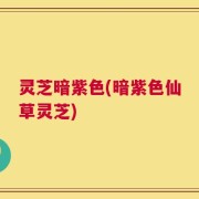 灵芝暗紫色(暗紫色仙草灵芝)