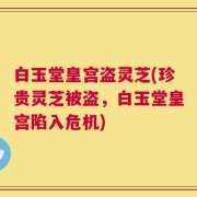 白玉堂皇宫盗灵芝(珍贵灵芝被盗，白玉堂皇宫陷入危机)