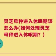 灵芝母种进入休眠期该怎么办(如何处理灵芝母种进入休眠期？)