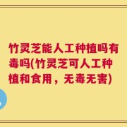 竹灵芝能人工种植吗有毒吗(竹灵芝可人工种植和食用，无毒无害)