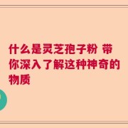 什么是灵芝孢子粉 带你深入了解这种神奇的物质