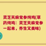 灵芝天麻党参炖鸡(草药炖鸡：灵芝天麻党参一起来，养生又美味)