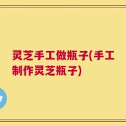 灵芝手工做瓶子(手工制作灵芝瓶子)