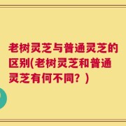 老树灵芝与普通灵芝的区别(老树灵芝和普通灵芝有何不同？)