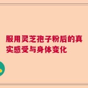 服用灵芝孢子粉后的真实感受与身体变化