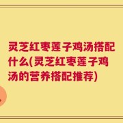 灵芝红枣莲子鸡汤搭配什么(灵芝红枣莲子鸡汤的营养搭配推荐)