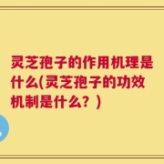 灵芝孢子的作用机理是什么(灵芝孢子的功效机制是什么？)