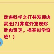 走进科学之打井发现肉灵芝(打井意外发现珍贵肉灵芝，揭开科学奇迹！)
