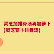 灵芝加排骨汤再加萝卜(灵芝萝卜排骨汤)