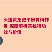 头道灵芝孢子粉有何作用 深度解析其独特功效与价值