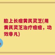 脸上长痘黄芪灵芝(用黄芪灵芝治疗痘痘，功效非凡)