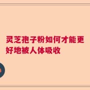 灵芝孢子粉如何才能更好地被人体吸收