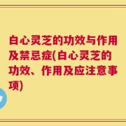 白心灵芝的功效与作用及禁忌症(白心灵芝的功效、作用及应注意事项)