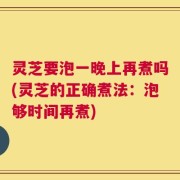 灵芝要泡一晚上再煮吗(灵芝的正确煮法：泡够时间再煮)