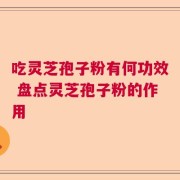 吃灵芝孢子粉有何功效 盘点灵芝孢子粉的作用