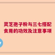 灵芝孢子粉与三七搭配食用的功效及注意事项