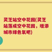 灵芝站空中花园(灵芝站落成空中花园，增添城市绿色氧吧)