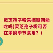 灵芝孢子粉采摘期间能吃吗(灵芝孢子粉可否在采摘季节食用？)
