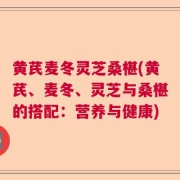 黄芪麦冬灵芝桑椹(黄芪、麦冬、灵芝与桑椹的搭配:营养与健康)