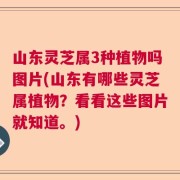 山东灵芝属3种植物吗图片(山东有哪些灵芝属植物？看看这些图片就知道。)