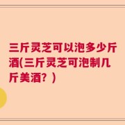 三斤灵芝可以泡多少斤酒(三斤灵芝可泡制几斤美酒？)