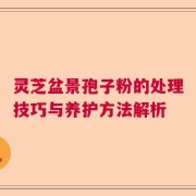灵芝盆景孢子粉的处理技巧与养护方法解析