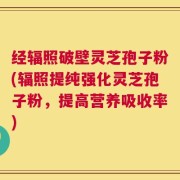 经辐照破壁灵芝孢子粉(辐照提纯强化灵芝孢子粉，提高营养吸收率)