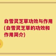 白雪灵芝草功效与作用(白雪灵芝草的功效和作用简介)