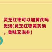 灵芝红枣可以加黄芪吗煲汤(灵芝红枣黄芪汤，美味又滋补)