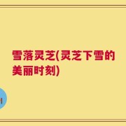 雪落灵芝(灵芝下雪的美丽时刻)