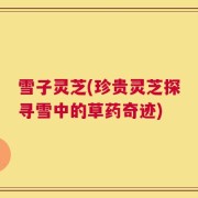 雪子灵芝(珍贵灵芝探寻雪中的草药奇迹)