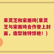 章灵芝和宋雨琦(章灵芝与宋雨琦合作登上封面，造型独特惊艳！)