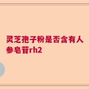 灵芝孢子粉是否含有人参皂苷rh2