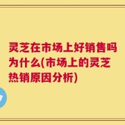 灵芝在市场上好销售吗为什么(市场上的灵芝热销原因分析)
