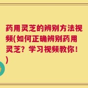 药用灵芝的辨别方法视频(如何正确辨别药用灵芝？学习视频教你！)