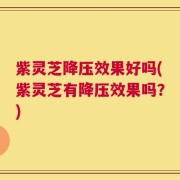 紫灵芝降压效果好吗(紫灵芝有降压效果吗？)