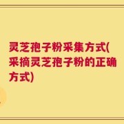 灵芝孢子粉采集方式(采摘灵芝孢子粉的正确方式)