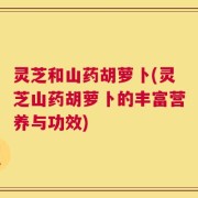 灵芝和山药胡萝卜(灵芝山药胡萝卜的丰富营养与功效)