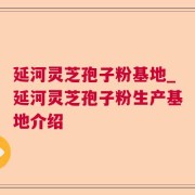 延河灵芝孢子粉基地_延河灵芝孢子粉生产基地介绍