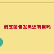 灵芝菌包发黑还有用吗