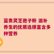 蓝贵灵芝孢子粉 滋补养生的优质选择富含多种营养